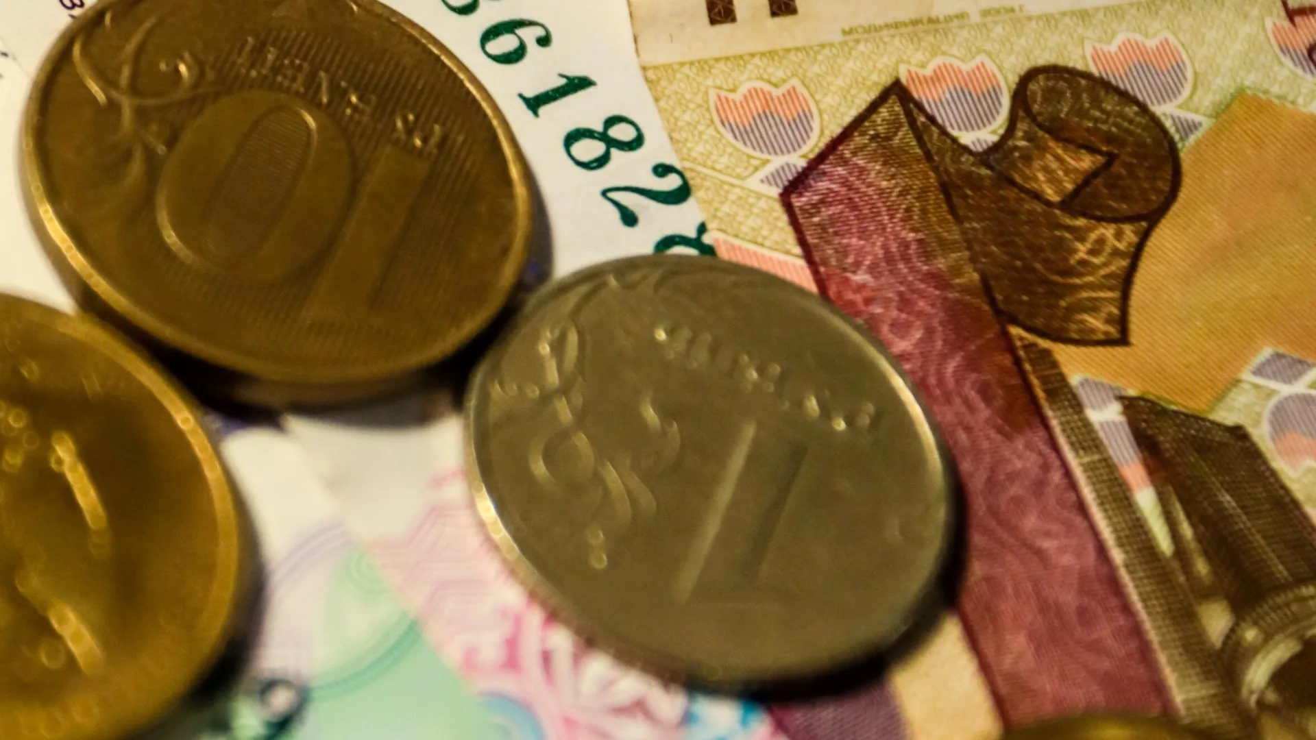 Фото: Владимир Лебедев