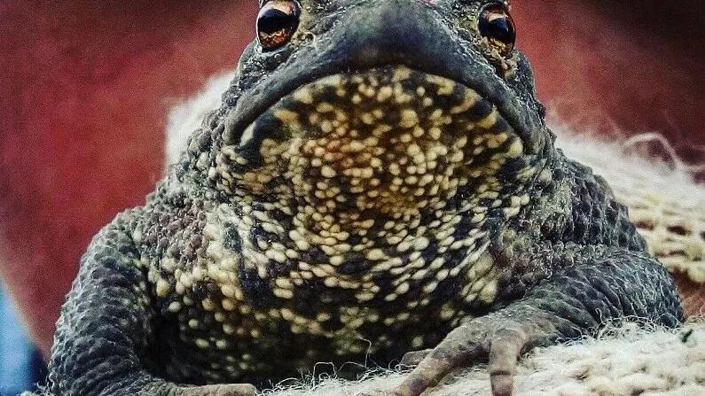 Фото: А. Ульянов