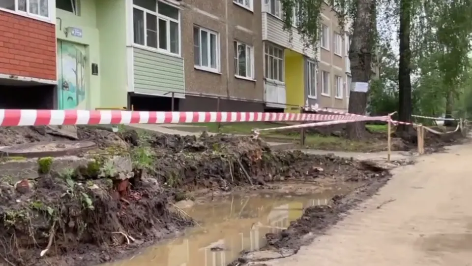 На заднем плане — те, самые деревья, которые просят оставить жители. Фото: t.me/dmitriyvikulov