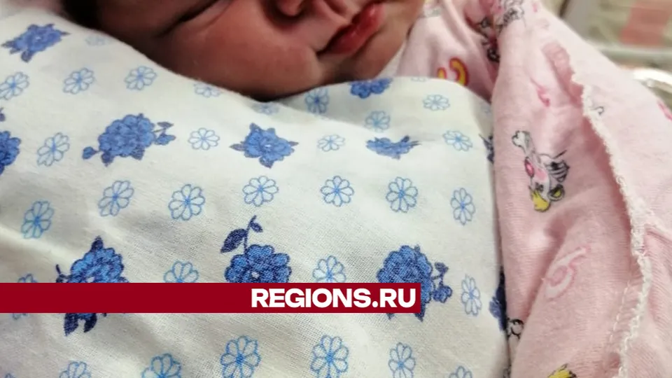 Фото: REGIONS/Наталия Надточая