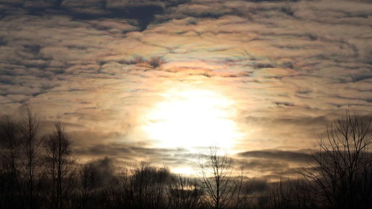 Марина Алифанова