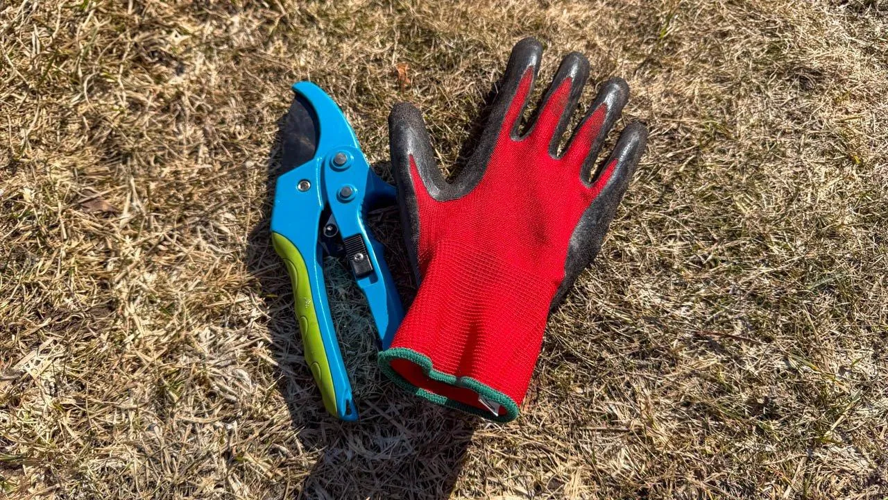 REGIONS/Илья Попов