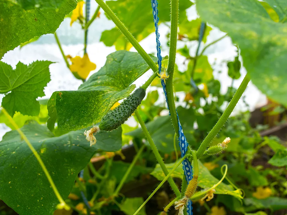 Фото: istockphoto.com