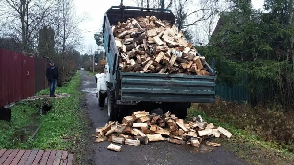 Фото: Комитет лесного хозяйства Московской области
