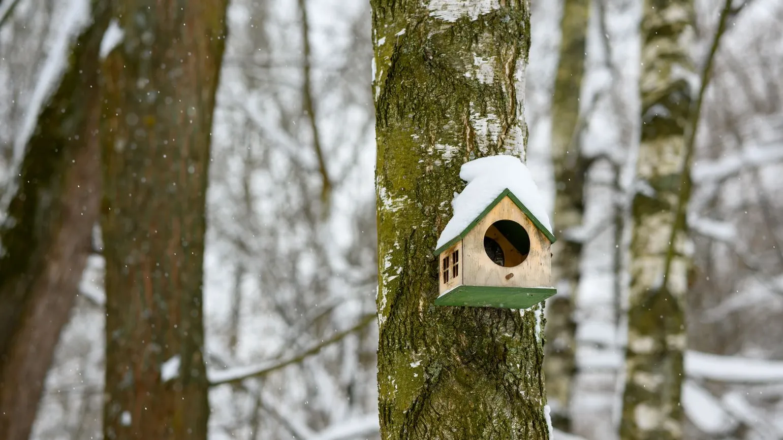 медиасток.рф