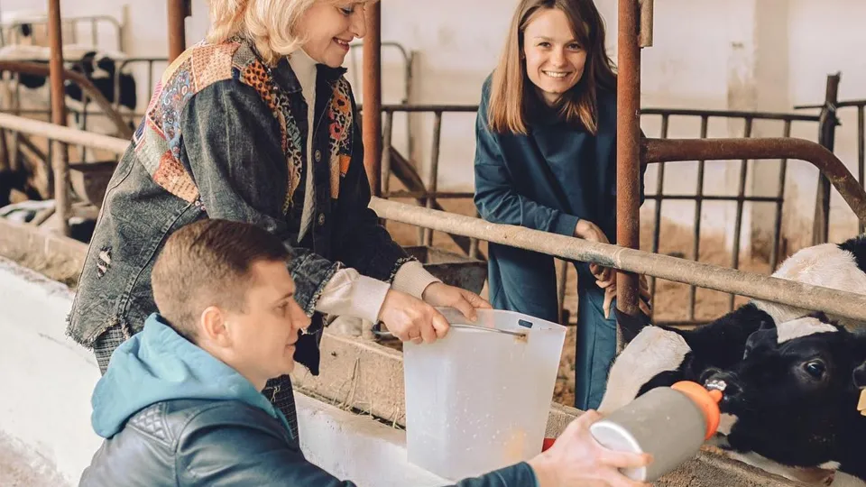 Фото: «Ферма Цветковых»