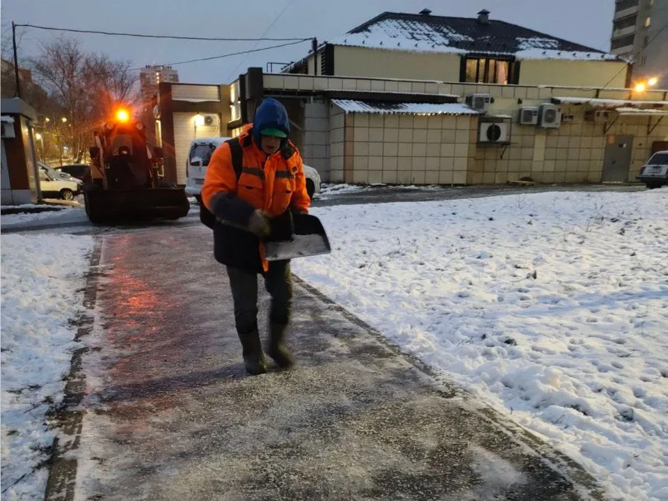 Фото: МЦУР&nbsp;Одинцовского г.о.