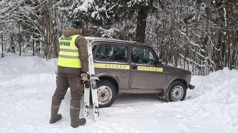 Комитет лесного хозяйства Московской области