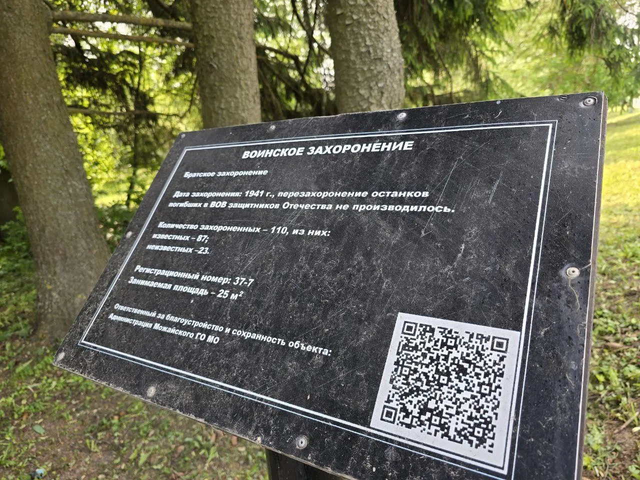 Фото: REGIONS/Яна Шаливская