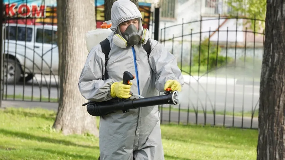 Фото: МедиаБанк Подмосковья/Алена Притула