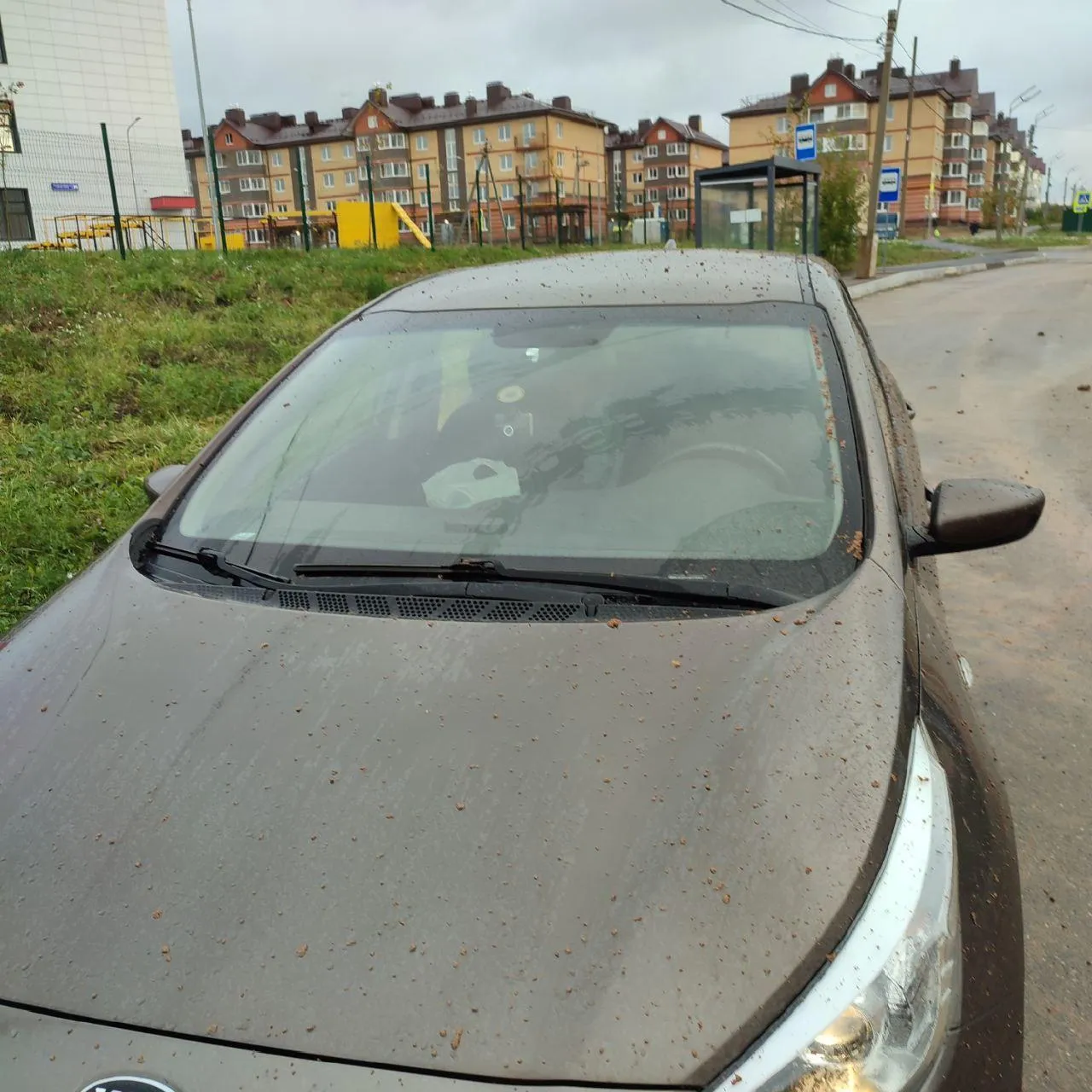 Фото: Истра Online / Telegram