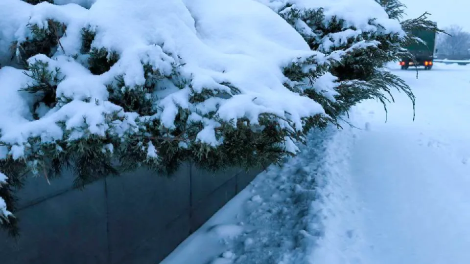 Фото: REGIONS/Роман Малышенко