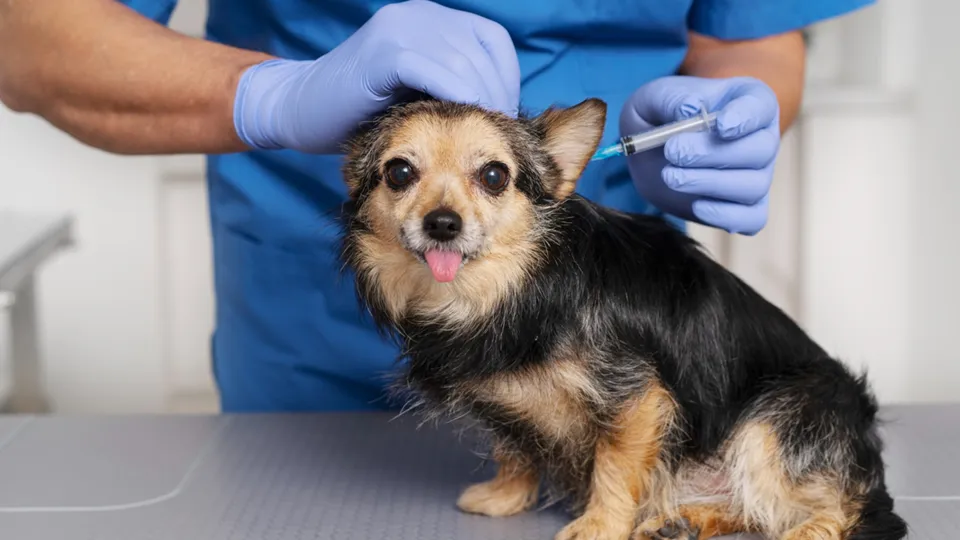 Фото: freepik.com