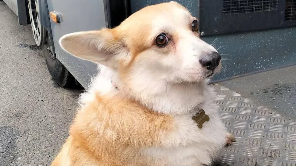 Фото: Министерство транспорта и дорожной инфраструктуры МО