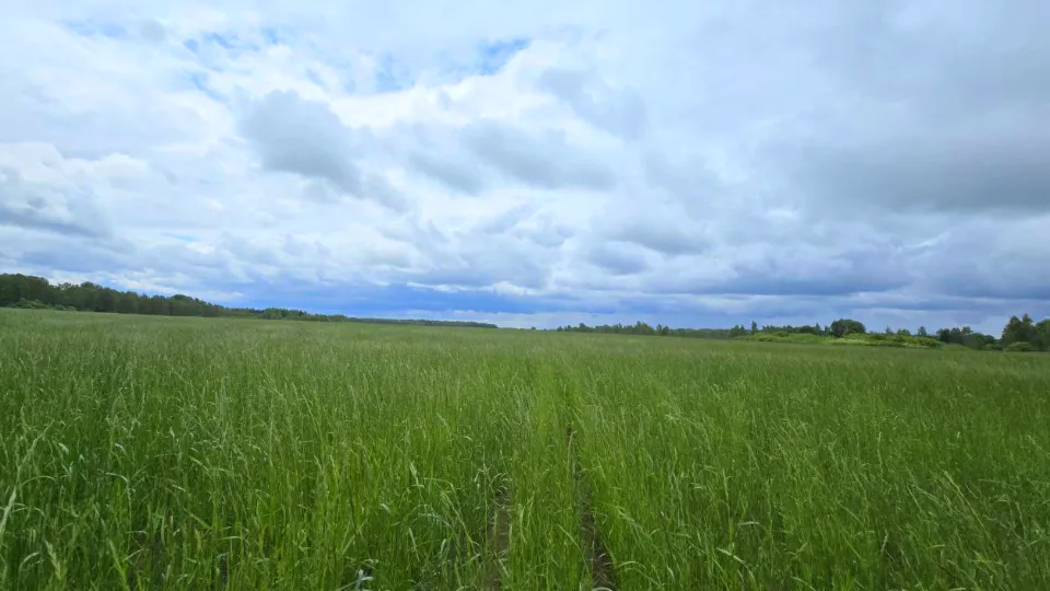 Фото: МедиаБанк Подмосковья/Яна Шаливская