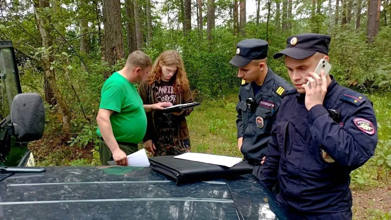 Более шести тысяч нарушений выявили в лесах Подмосковья с начала года
