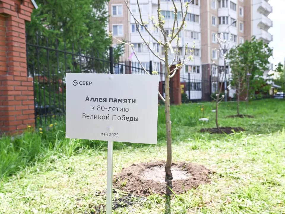 Фото: пресс-служба администрации Ленинского г.о.