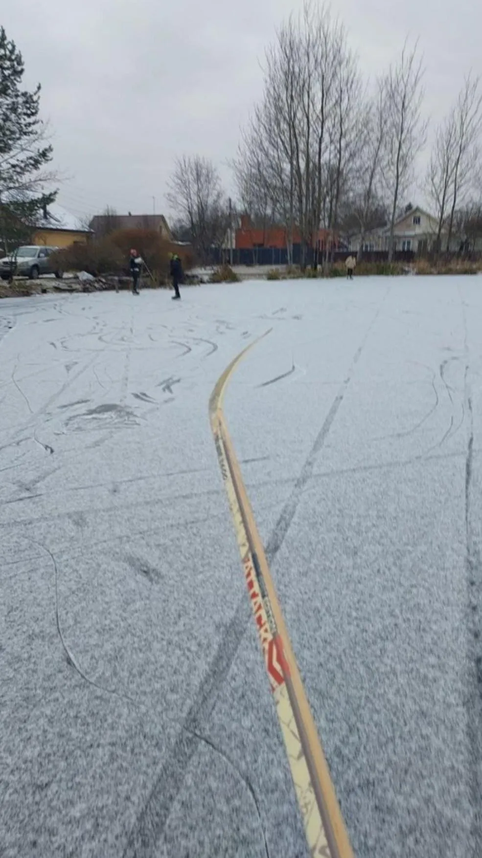 Фото: Снегири РФ / ВКонтакте