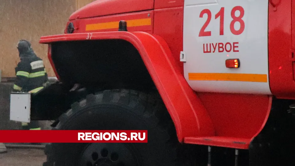 Фото: REGIONS/Василий Тремасов