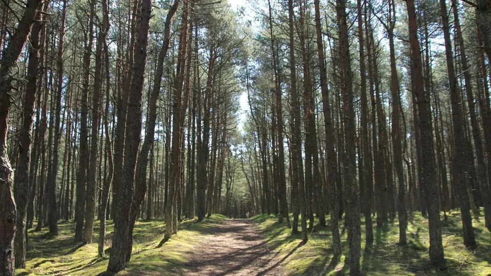 Фото: Николай Мулянский