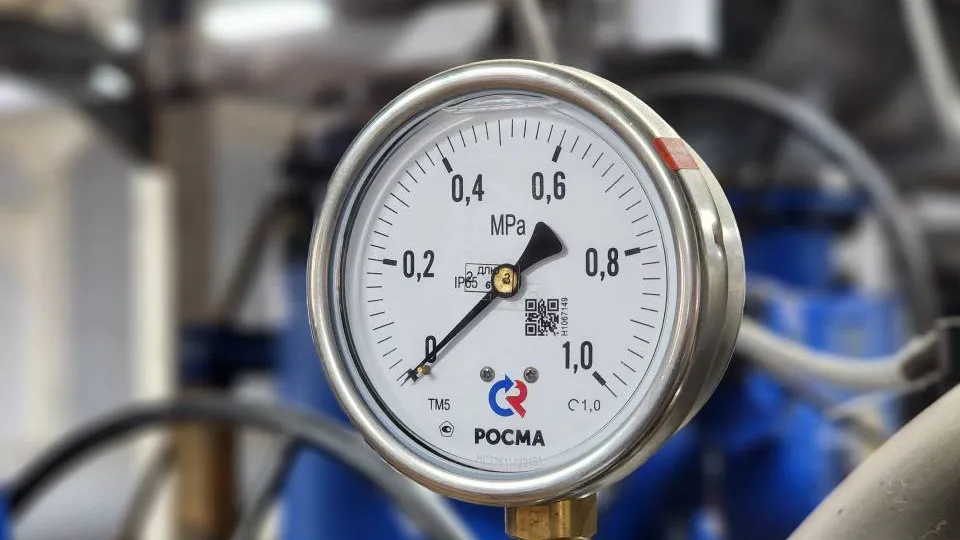 Фото: Светлана Плотникова