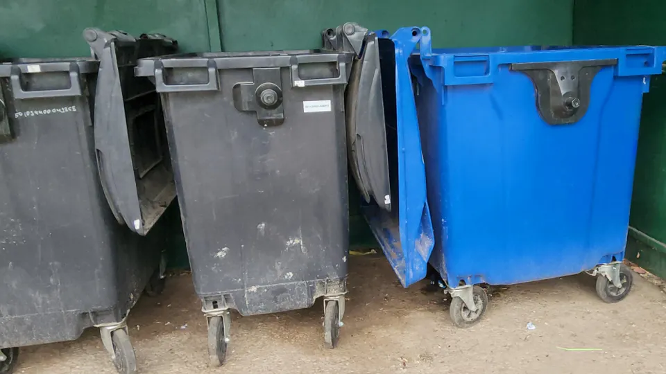 Фото: МедиаБанк Подмосковья/Валерий Гореловский