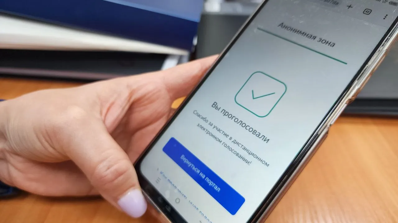 Фото: Медиабанк Подмосковья/Яна Шаливская