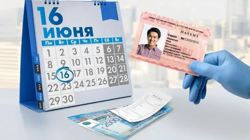 Работу с трудовыми мигрантами возобновили в Подмосковье