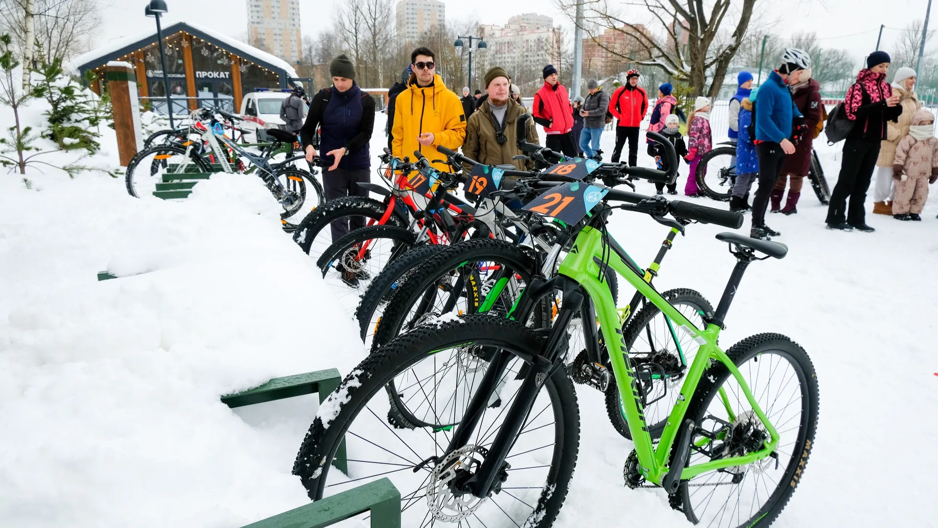 Фото: пресс-служба администрации г.о. Лобня