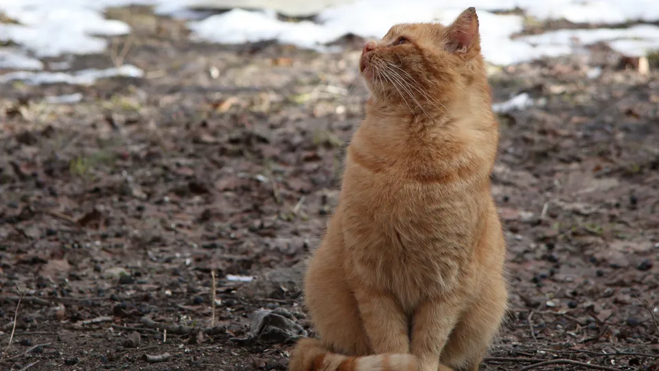 Фото: медиасток.рф