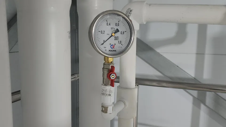 Фото: МедиаБанк Подмосковья/Екатерина Морозова