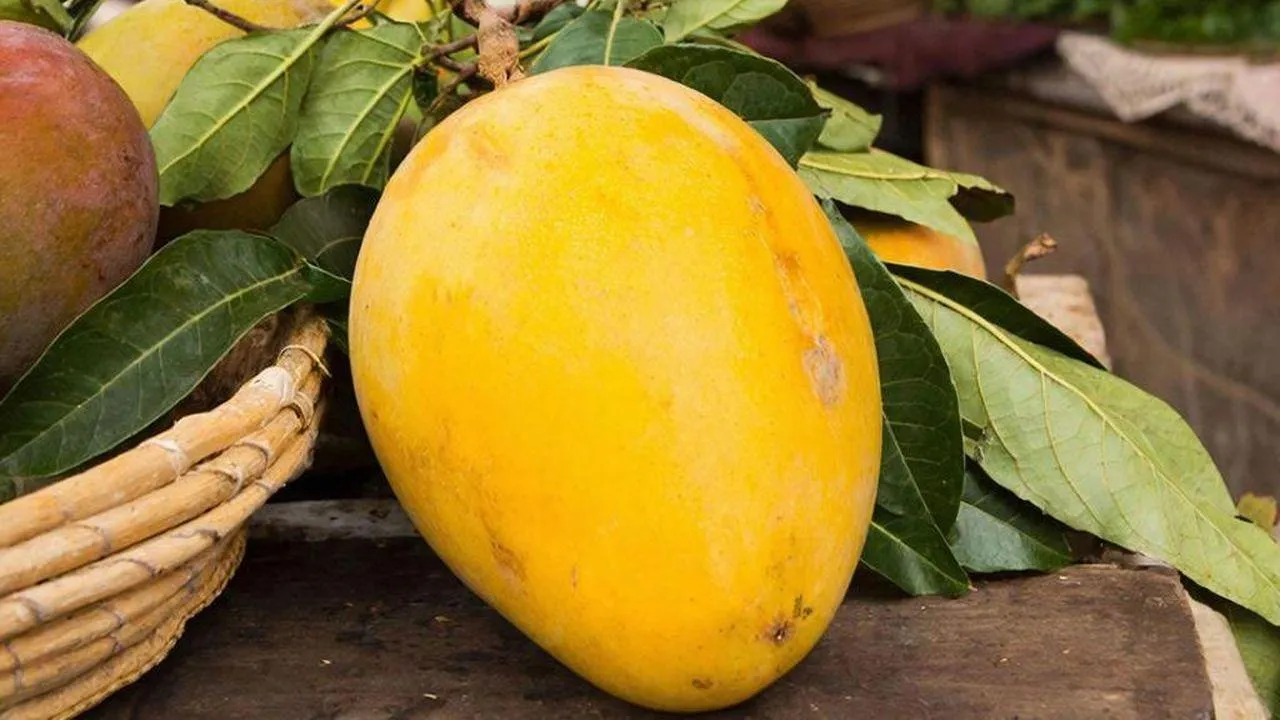 REGIONS/Сгенерировано нейросетью