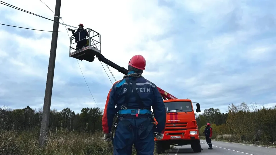 Фото: пресс-служба ПАО «Россети Московский регион»