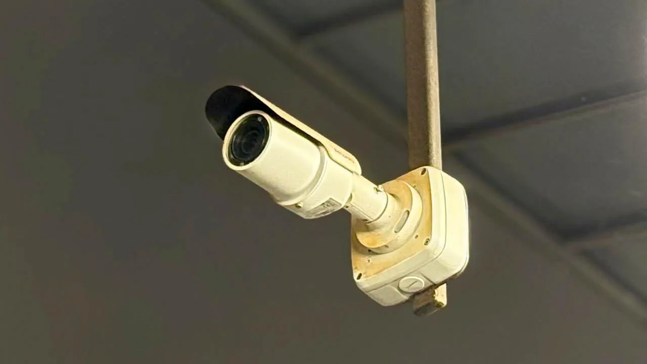 REGIONS/Полина Крачун