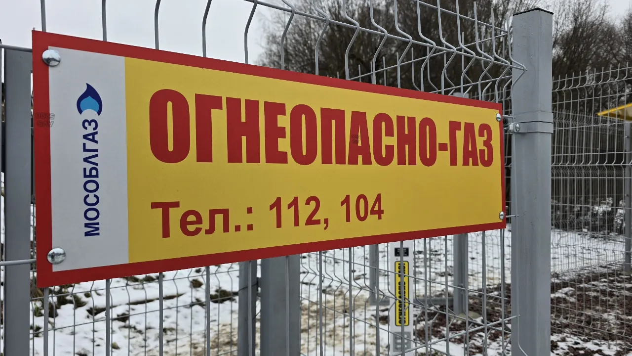 МедиаБанк Подмосковья/Марина Анисимова