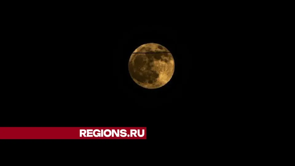 Фото: Михаил Моисеев