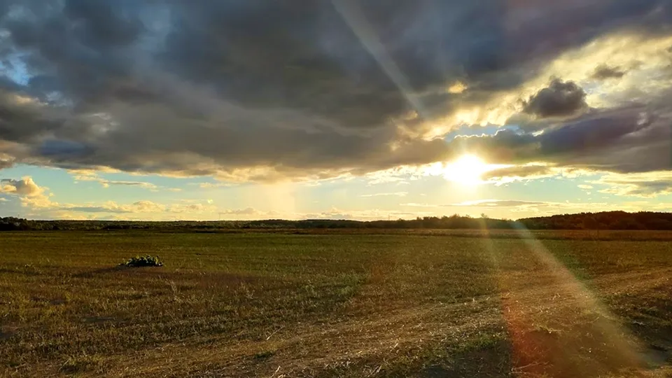 Фото: REGIONS/Алексей Селиверстов