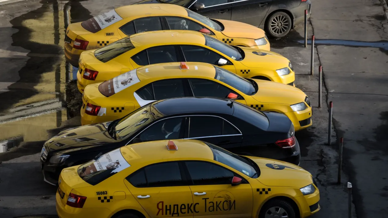 Фото: Медиаархив Подмосковья