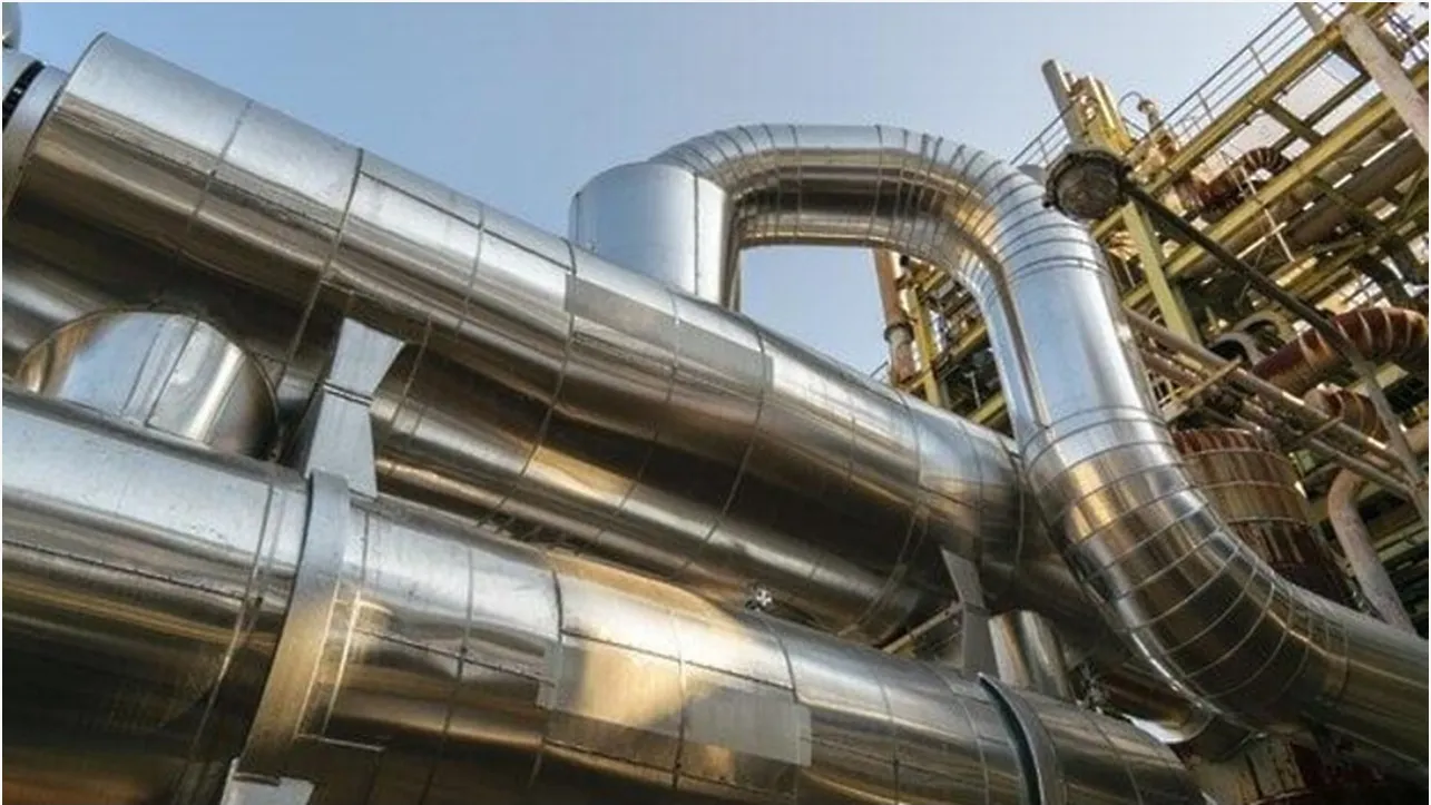 © Пресс-служба Министерства экологии и природопользования Московской области