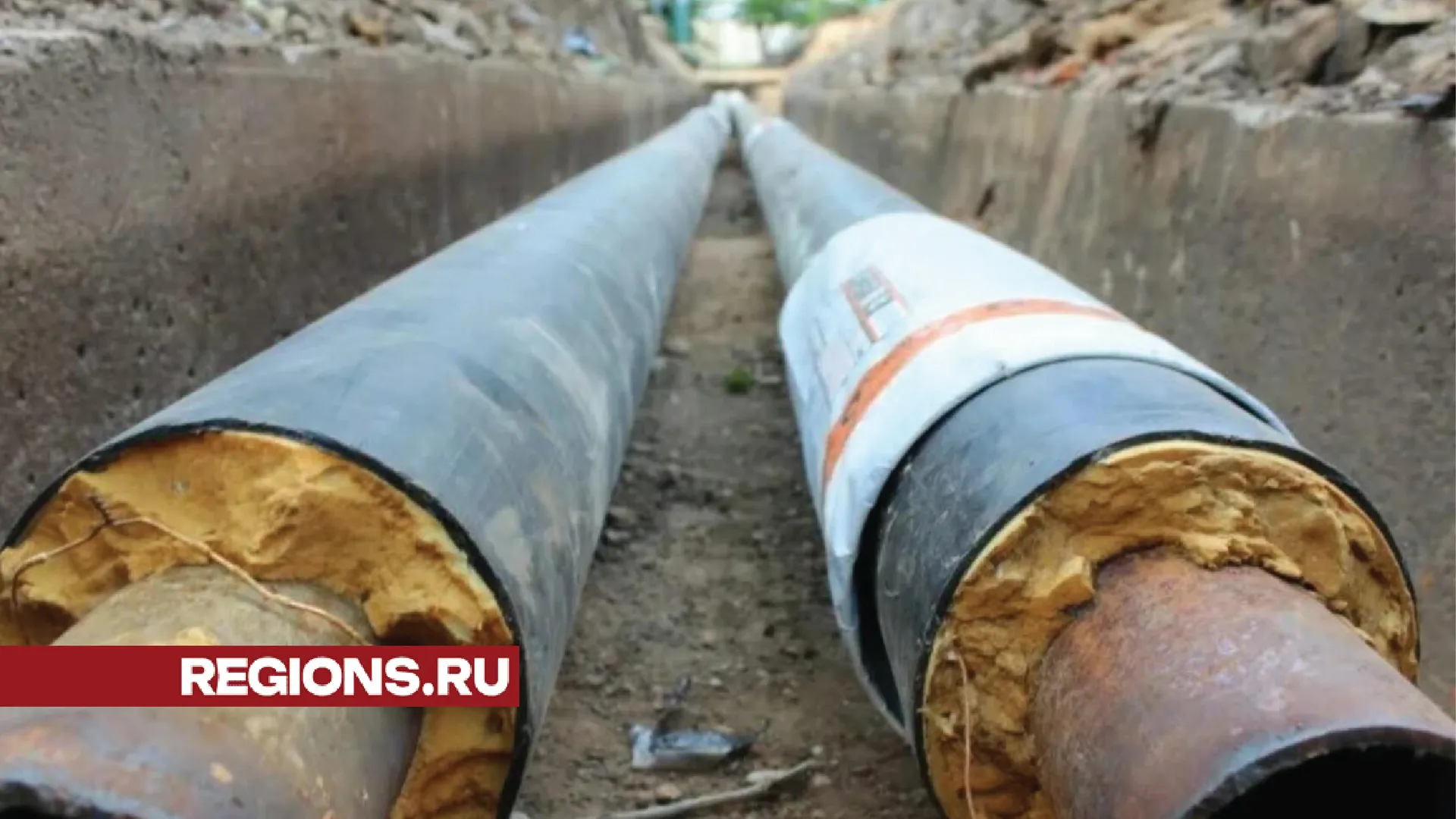 Фото: Хавива Фонина