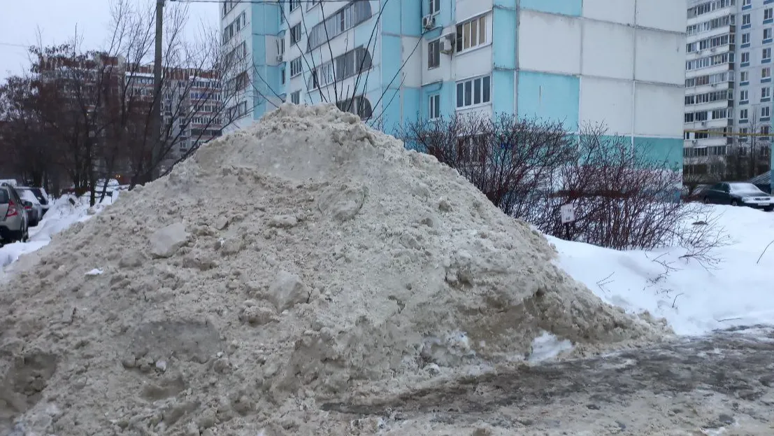 Фото: Олег Книжник