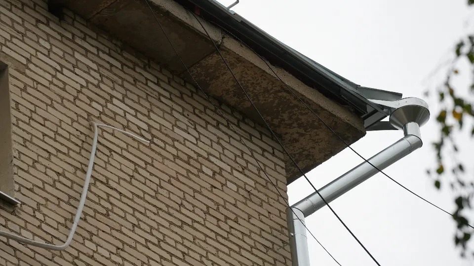 Фото: МедиаБанк Подмосковья/Мария Юдина