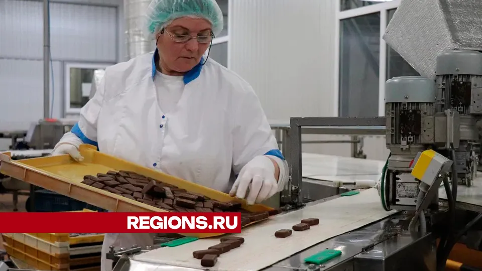 Фото: REGIONS/Василий Тремасов