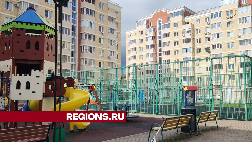 Фото: Хавива Фонина