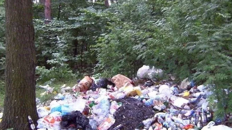 Десять свалок ликвидировали в Истре с начала месяца