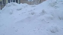 Юлия Фролова / URA.RU
