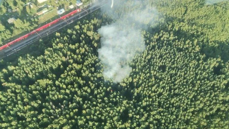 В Подмосковье за неделю ликвидировали восемь лесных пожаров