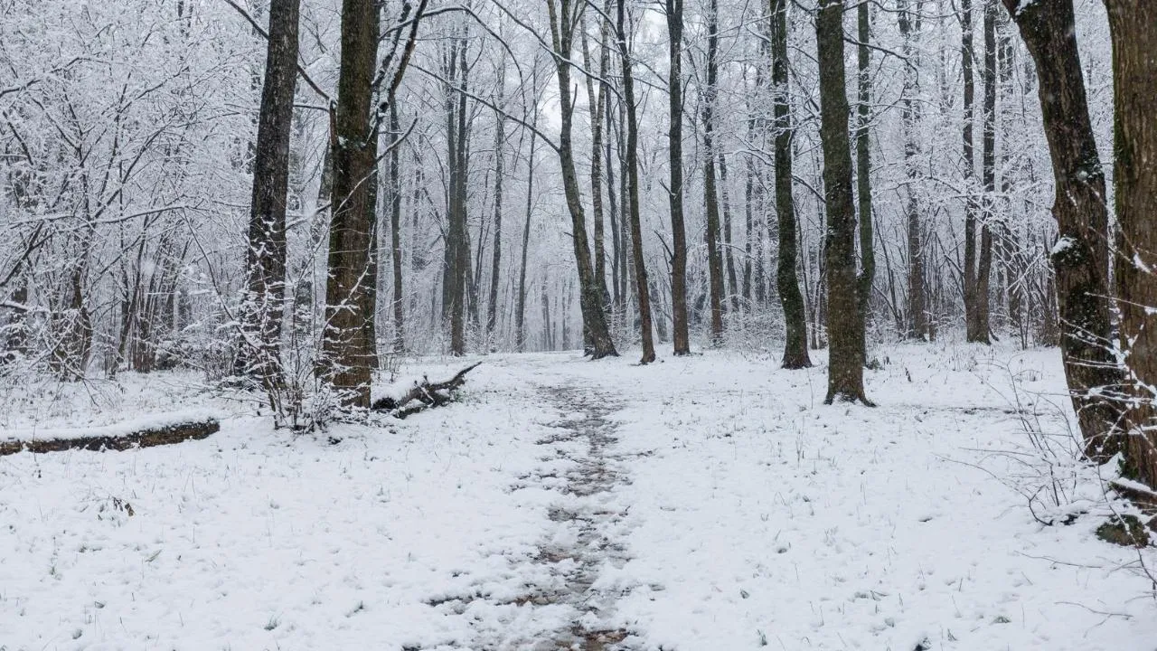 медиасток.рф