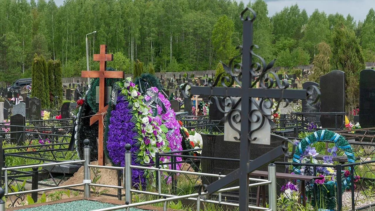 istockphoto.com/Ivan Murauyou