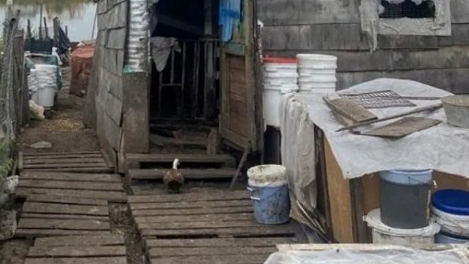 Фото: Министерство экологии и природопользования МО